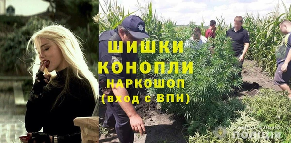 МДПВ Лагань